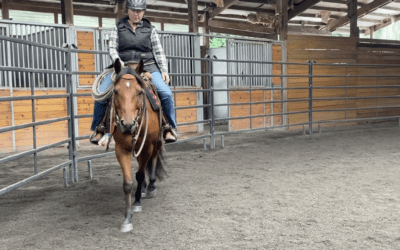 Riding Wren