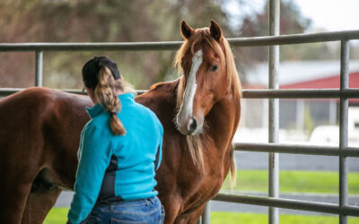 A Gentle Start: Cooper’s Path to Trust and Comfort