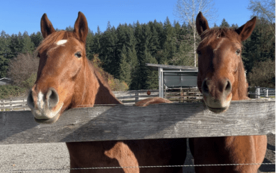 Week in Review: November 10 — 16
