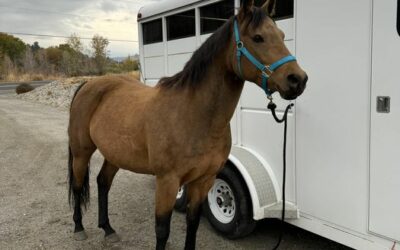 Alumni Update: Piper