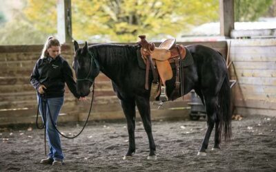 Alumni Update: Rae