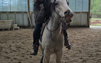 Frosting is Adopted!