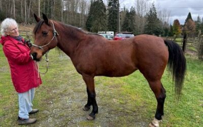 Alumni Update: Lucca