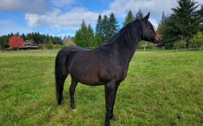 Alumni Update: Millie