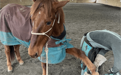 Week in Review: December 8 — 14