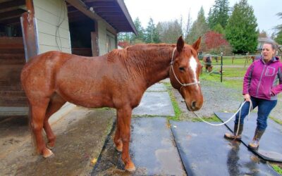 Alumni Update: Sophie
