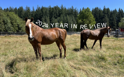 Year in Review 2024