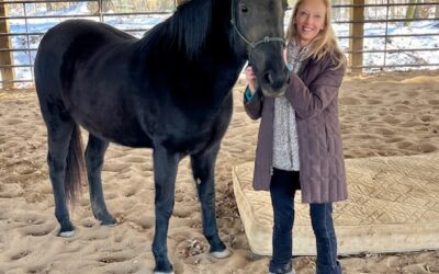 Alumni Update: Bubbles (Bella)