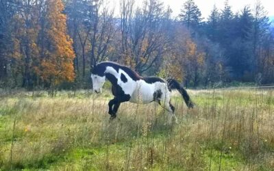 Alumni Update: Montana