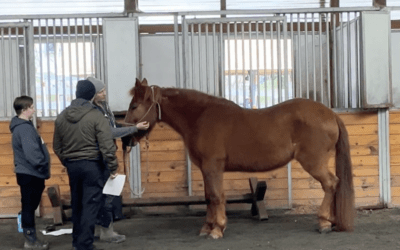 Snohomish Animal Control Officer Training