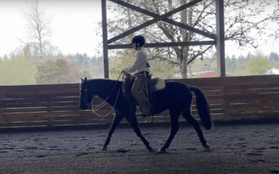 Moshi Riding Video