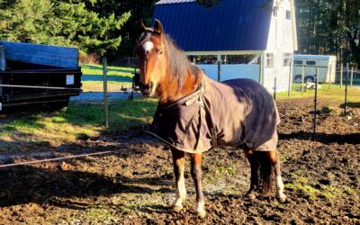Alumni Update: Cassidy