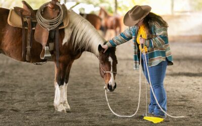 March Joel Conner Clinic Report: Brownie