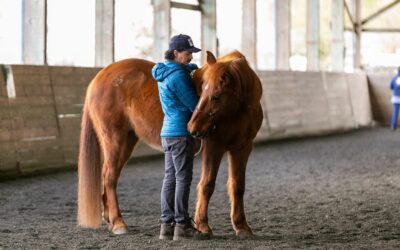 March Joel Conner Clinic Report: Sienna