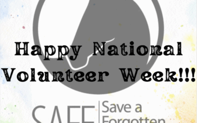 Happy National Volunteer Week!