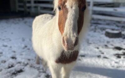 Alumni Update: Billy