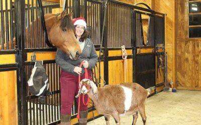 Alumni Update: Skye