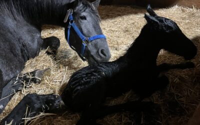 Welcome to the World, Paloma!