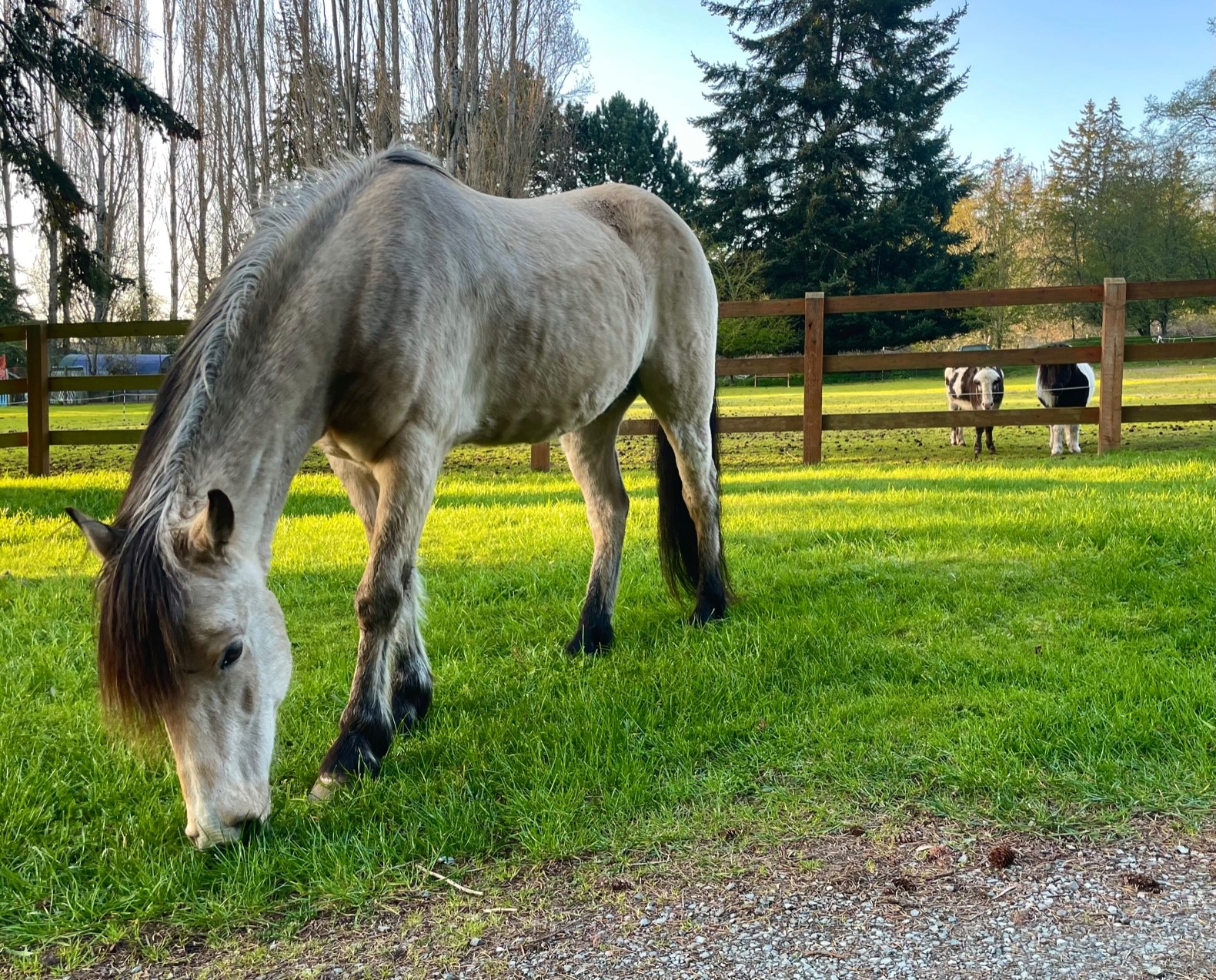 Alumni Update: George