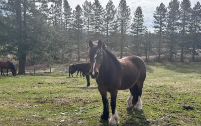 Alumni Update: Kelly