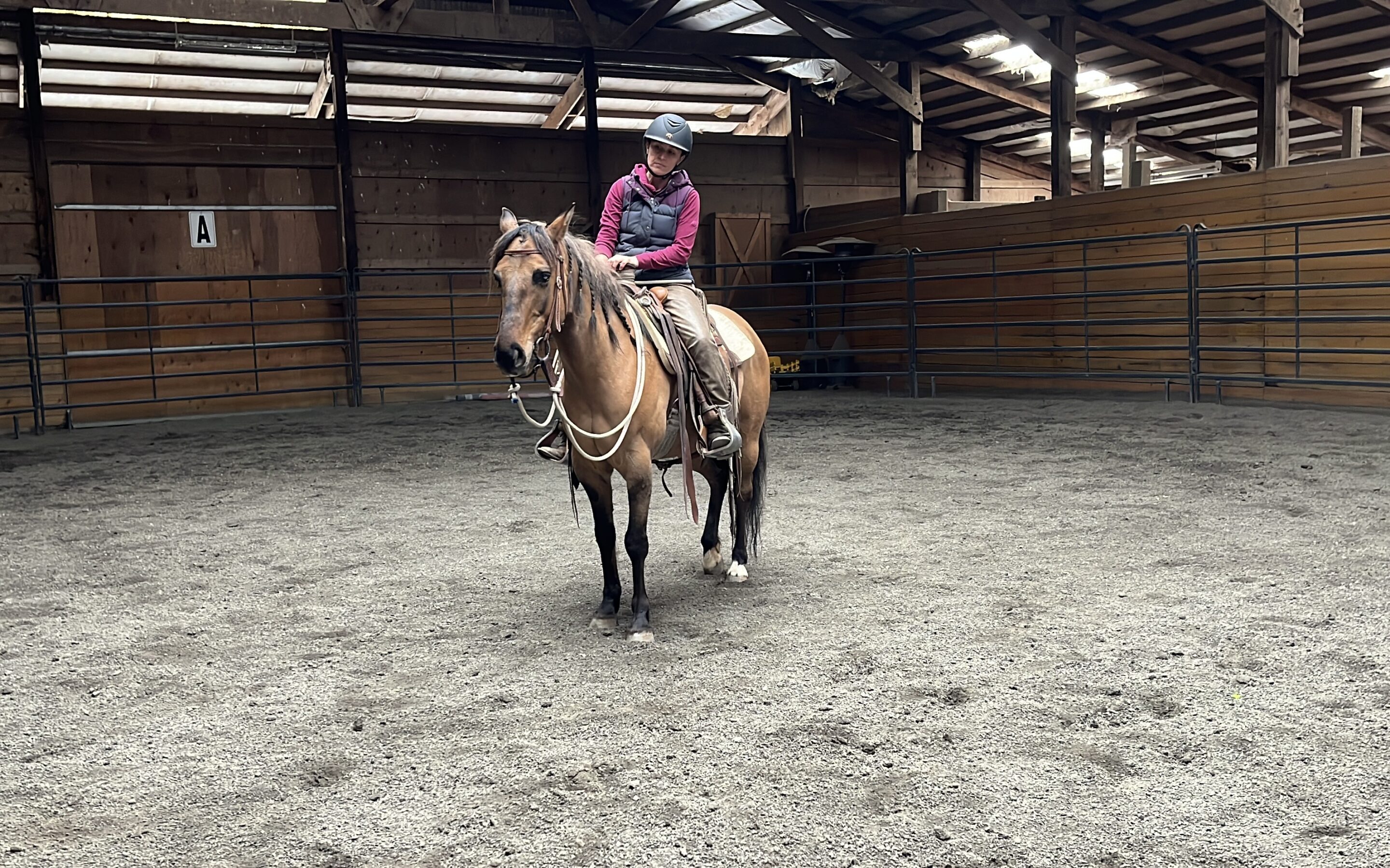 Mabel Under Saddle
