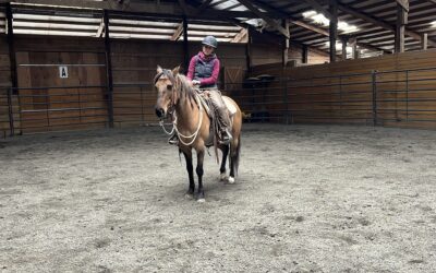 Mabel Under Saddle