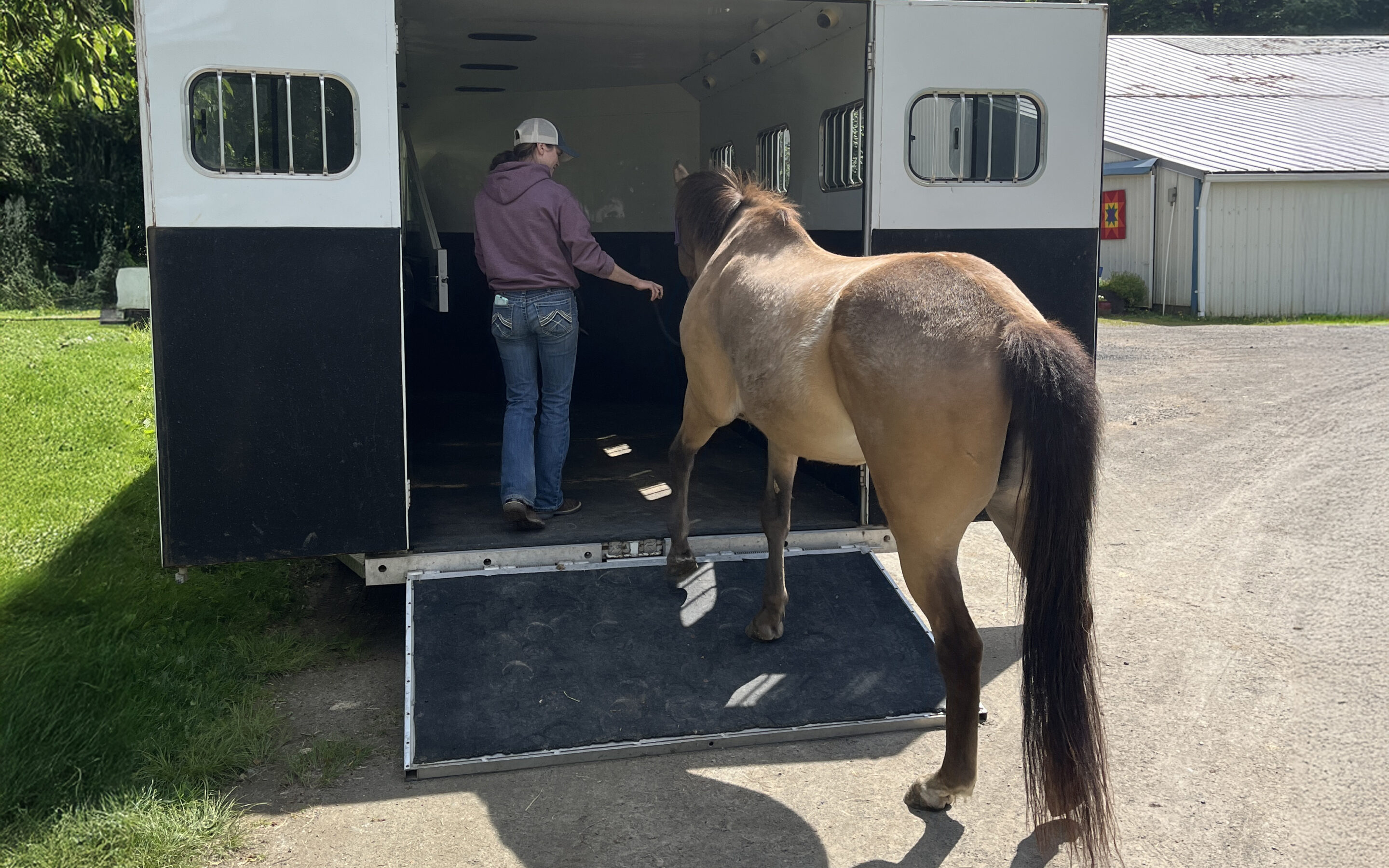 Trailer Practice with Mirana