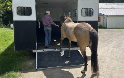 Trailer Practice with Mirana