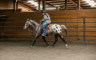 Riding Ranger