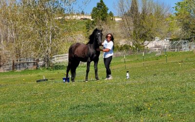 Alumni Update: Rhythm