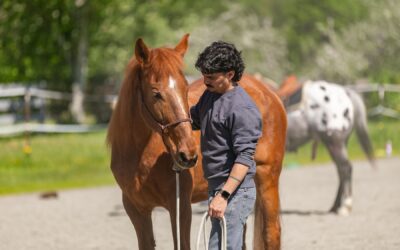 May Joel Conner Clinic Report: Sienna