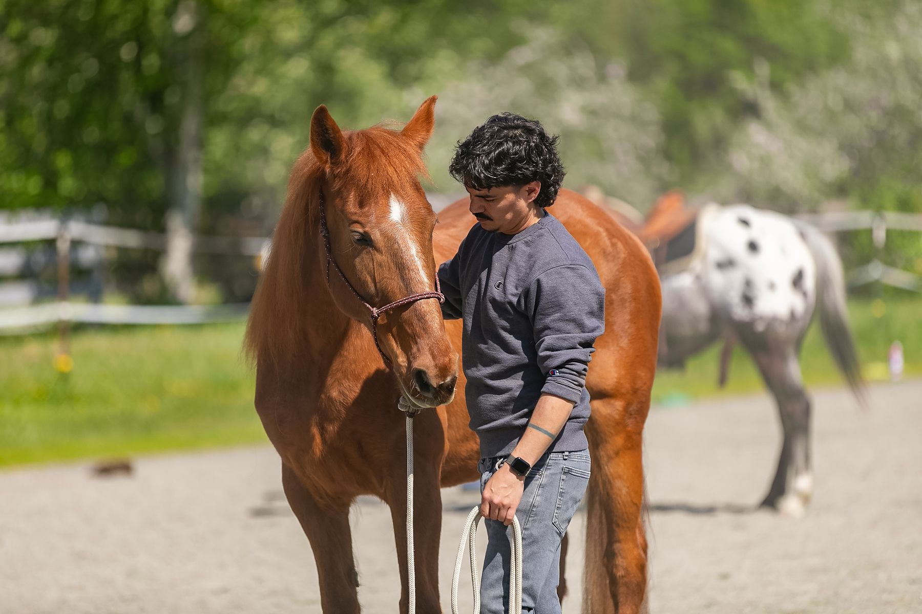 May Joel Conner Clinic Report: Sienna