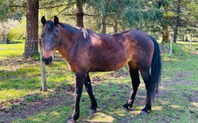 Alumni Update: Zoe