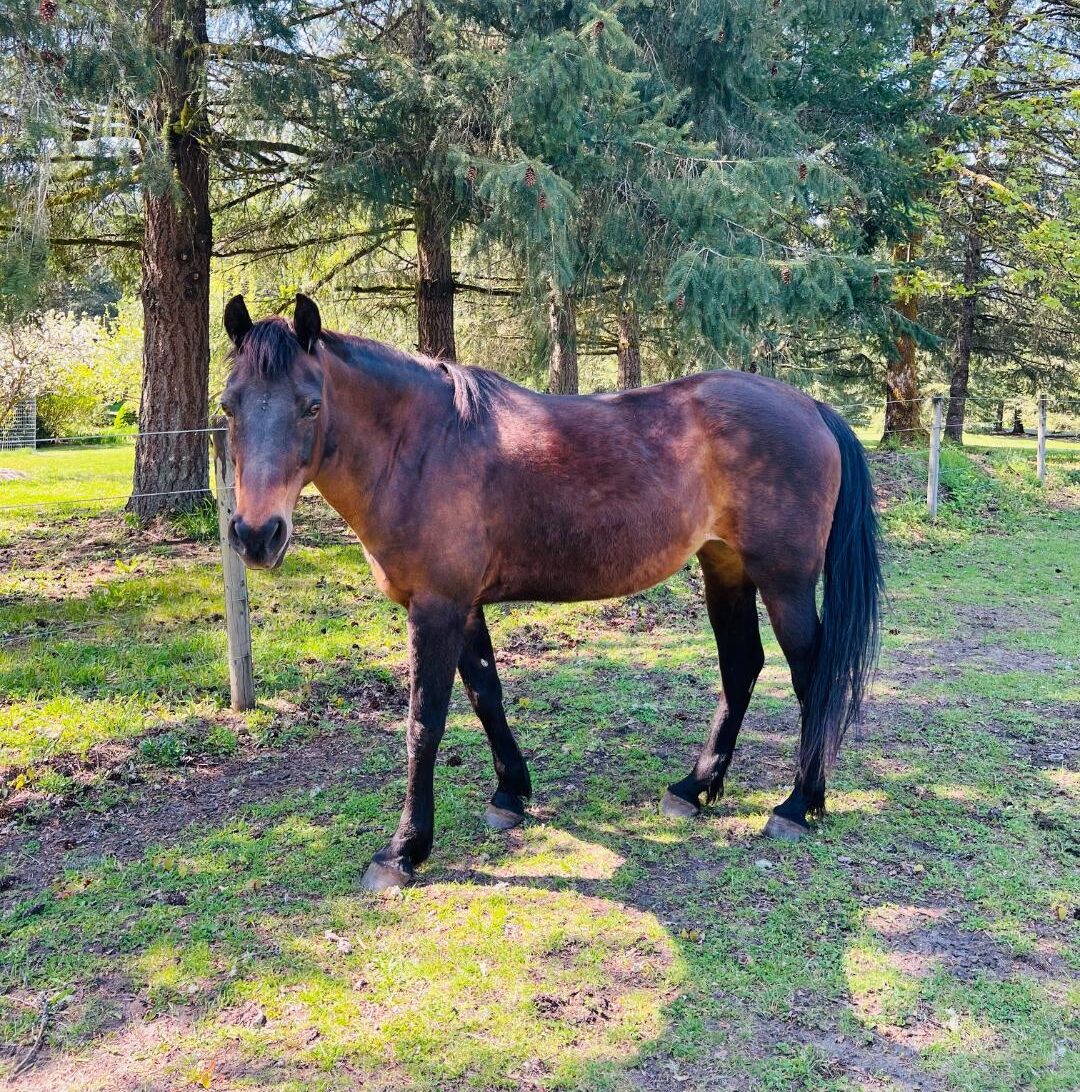 Alumni Update: Zoe