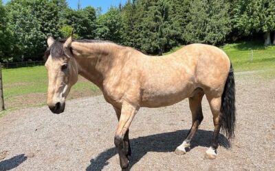 Alumni Update: Biscotti (Rowdy)