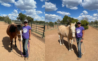 Alumni Update: Jewel and Tilt (Korra)