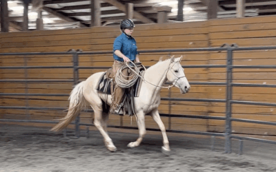 Trinket Under Saddle