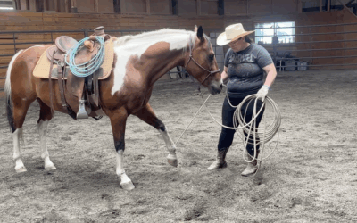 Brownie — Getting a Change