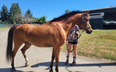 Alumni Update: Henry (James)