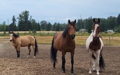 Alumni Update: Pearl