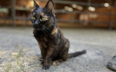 Remembering Thelma