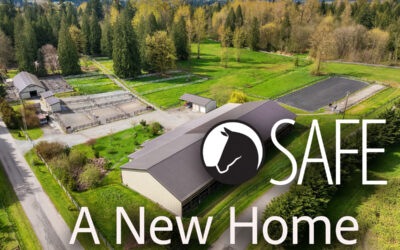 SAFE Has Big News to Share!