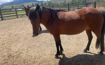 Alumni Update: Jill