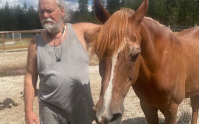Alumni Update: Mesquite