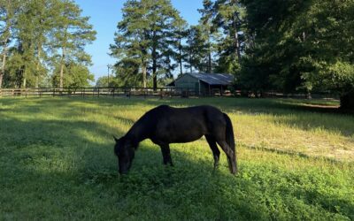 Alumni Update: Moshi (Moxie)
