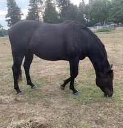 Alumni Update: Remy