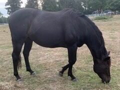 Alumni Update: Remy