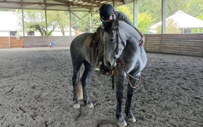 Arionna Under Saddle