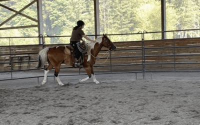Brownie’s Third Ride