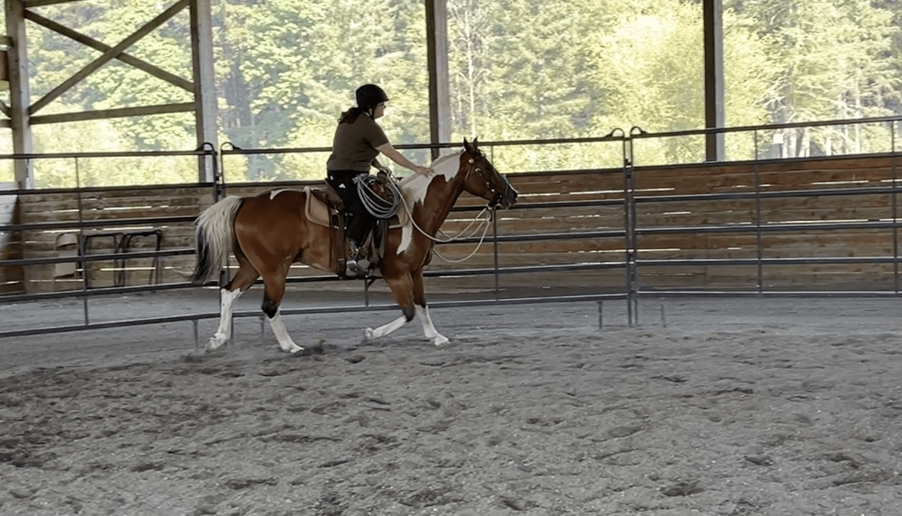 Brownie’s Third Ride